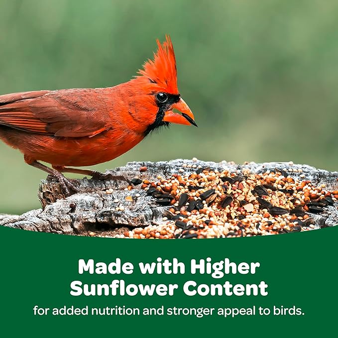 Kaytee Wild Bird Basic Seed, 20lbs (2 Packs of 10lbs) Kaytee