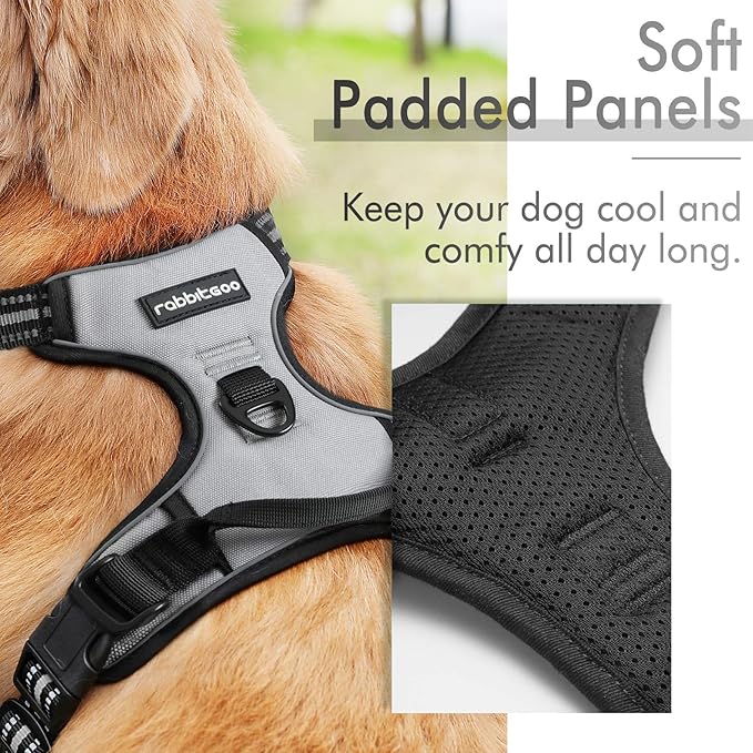 rabbitgoo Dog Harness, No-Pull Pet Harness with 2 Leash Clips, Adjustable Soft Padded Dog Vest, Reflective No-Choke Pet Oxford Vest with Easy Control Handle for Large Dogs, Grey, XL - PAWPICO