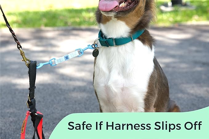 Gentle Creatures Collar Companion - Reinforced, Waterproof Poly Backup Clip for Dog Harness, Prong Collar, Pinch Collar, Gentle Lead - Double Ended Swivel Clips - Harness to Collar Safety Clip, Clasp GentleCreatures