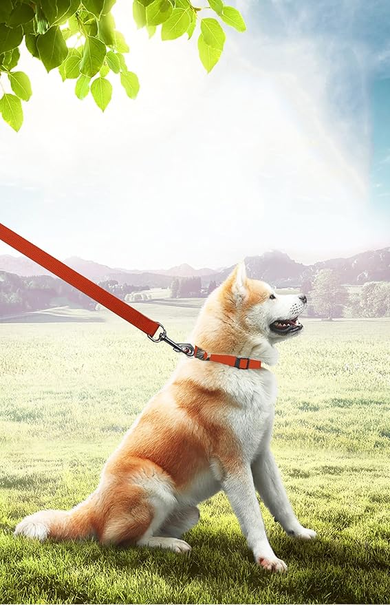 15ft 20ft 30ft 40ft 50ft Long Dog/Puppy Lead Obedience Recall Training Dog Leashes for Small Medium Dogs Camping, Training, Play, or Backyard (15 FT, Orange) PETGOGO