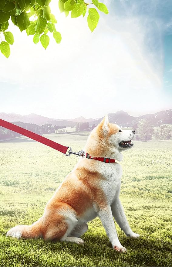 15ft 20ft 30ft 40ft 50ft Long Dog/Puppy Lead Obedience Recall Training Dog Leashes for Small Medium Dogs Camping, Training, Play, or Backyard (15 FT, Red) PETGOGO