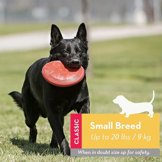 KONG Flyer - Durable Dog Toy for Outdoor Playtime - Natural Rubber Flying Disc, Dog Toy for Fetch - Safer Disc for Healthy Activity - for Small Dogs - PAWPICO