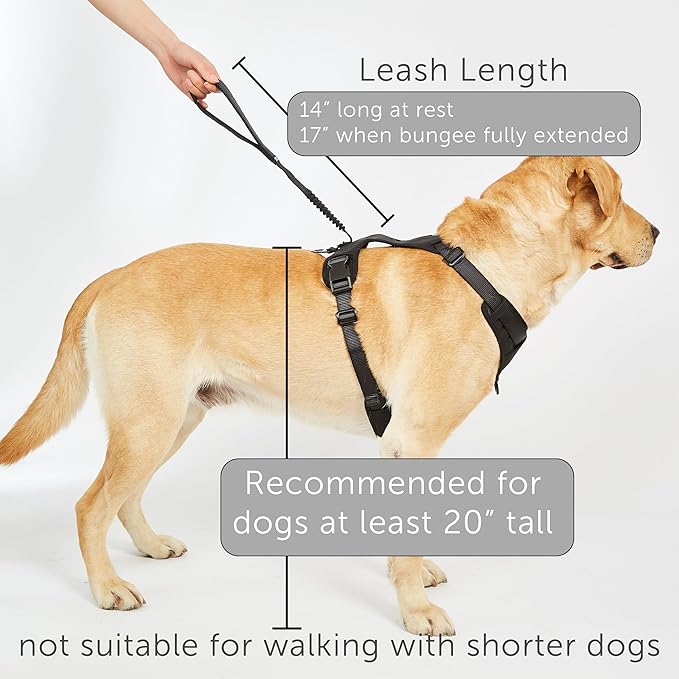 TUG Grab Dog Harness | Integrated Traffic Leash Magnetically Attached for Quick Control (Large/Black) TUG