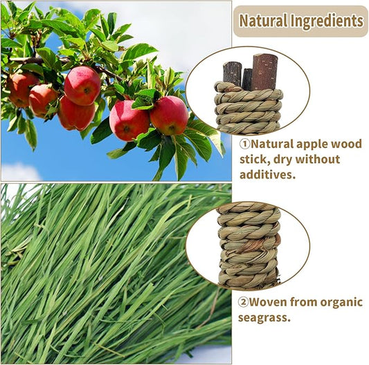 Fhiny 12 PCS Guinea Pigs Chew Toys, Natural Apple Branch Seagrass Molar Sticks for Teeth Bunny Chew Toys Cage Accessories for Guinea Pigs Rabbit Bunny Hamster Chinchilla Fhiny