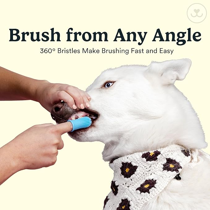 Jasper Dog Toothbrush, 360-Degree Silicone Dog Finger Toothbrush with Storage Cases, Dog Tooth Brushing Kit, Dog Teeth Cleaning Kit for Medium and Large Dogs, Use with Dog Toothpaste, 2-Pack Clear JASPER%C2%AE