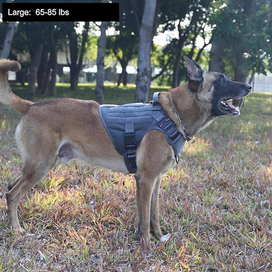 ICEFANG Tactical Dog Harness,Large Size, 2X Metal Buckle,Working Dog MOLLE Vest with Handle,No Pulling Front Leash Clip,Hook and Loop Panel - PAWPICO