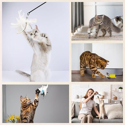 Variety Play Cat Toys Set, 5 Pack, Refills for Cat Wand Toys, Cat Fishing Poles, Spring Wires, Door/Wall Hang Ropes. 2 Bird Cat Toys, 2 Feather Cat Toys & Windmill - Bells & Easy Clip-On - PAWPICO