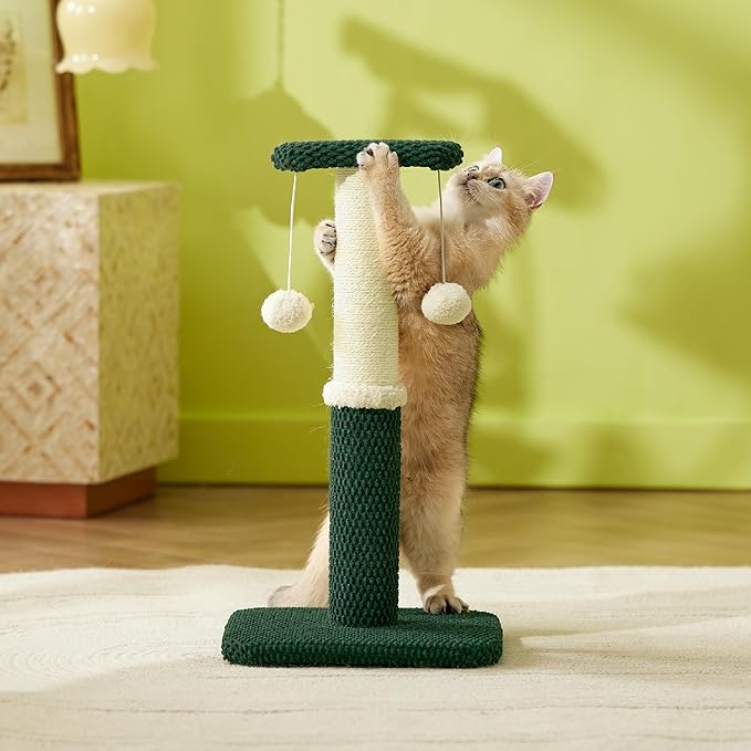 Lesure Cat Scratching Post for Indoor Cats - Highly Resistant Carpet Scratch Posts, Premium Sisal Rope Scratch Posts for Kittens, Sturdy Small Cat Scratch Pole with Hanging Ball, Green(22.5 inch) - PAWPICO