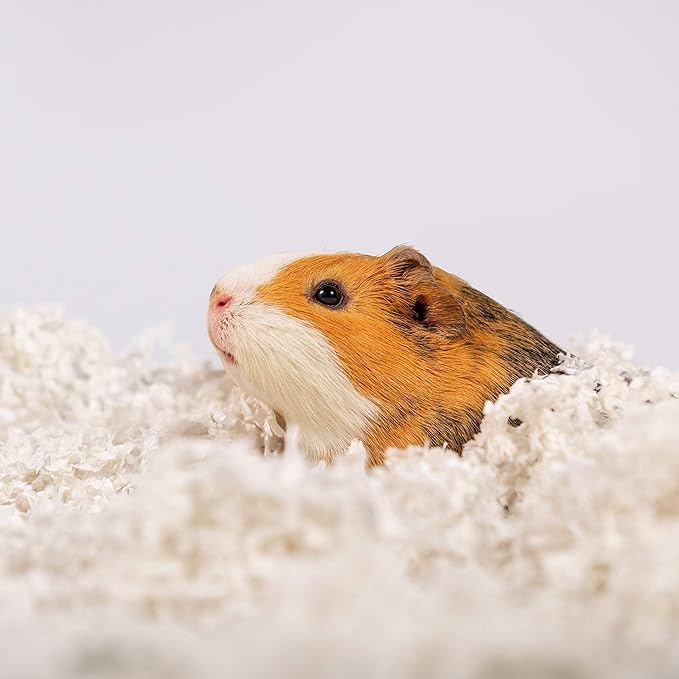 Uber Soft Paper Pet Bedding for Small Animals, White, 56L PetsPick%C2%AE