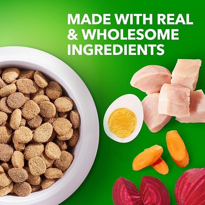 IAMS Proactive Health Healthy Aging Large Breed Dry Senior Dog Food Real Chicken, 15 lb. Bag - PAWPICO