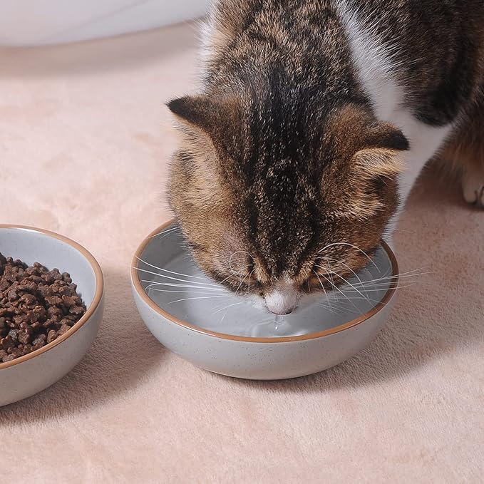 Ceramic Cat Bowls, Howise Cat Food Dish Gray, 5.3 in Shallow Pet Bowl 3 Pack Bowl Set for Kitten Cat Food Bowl and Water Bowl Small Dog Dish - PAWPICO
