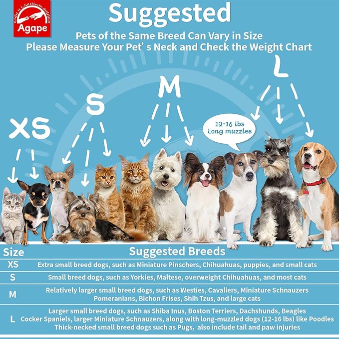 Agape Soft Dog Cone for Small Dogs & Cats, Comfy Dog Recovery Collar After Surgery, Adjustable E Collar Alternative to Stop Licking, Protective Elizabethan Collar for Pup&Kitty, Comfortable Dog Cones Agape