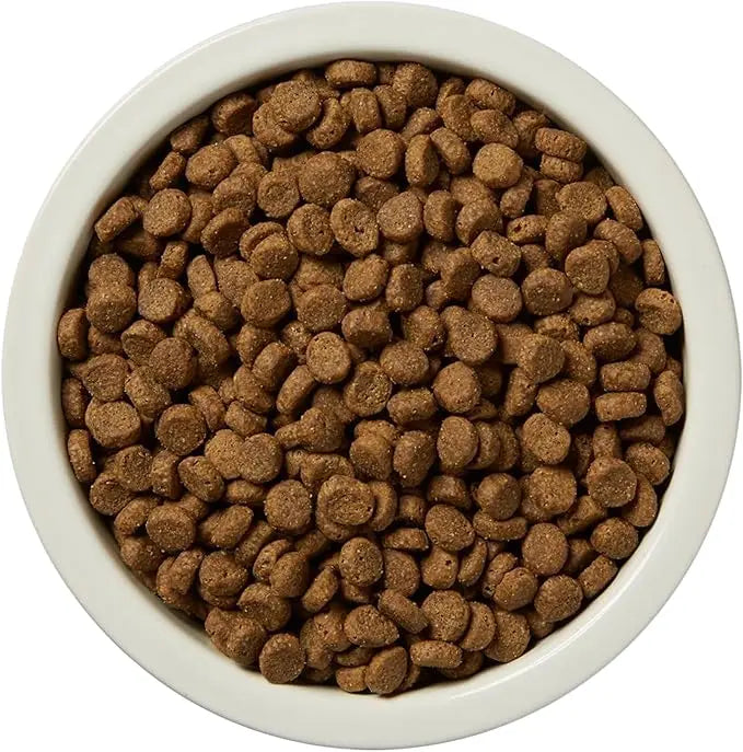 Amazon Brand - Wag Dry Dog Food Grain-Free Salmon & Lentil Recipe, High Protein (4 lb bag) - PAWPICO