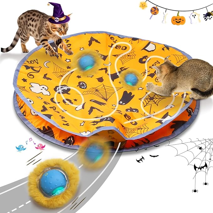 Interactive Cat Toys Ball Rolling in The Pouch, Chirping & Motion Activated Interactive Cat Ball Toy Begins Hide and Seek Game in Mat, Rechargeable Cat Exercise Toy - PAWPICO