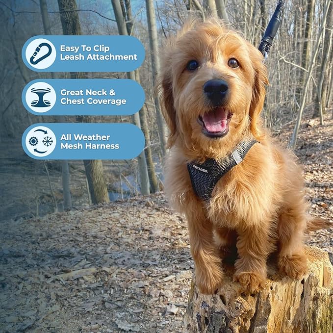 Voyager Step-in Air Dog Harness - All Weather Mesh, Reflective, No Pull Harness for Small, Medium Dogs, Cats - Secure with Hook & Loop Fastener, Buckle, Double D-Rings - Gray 2-Tone, S BestPetSuppliesLLC