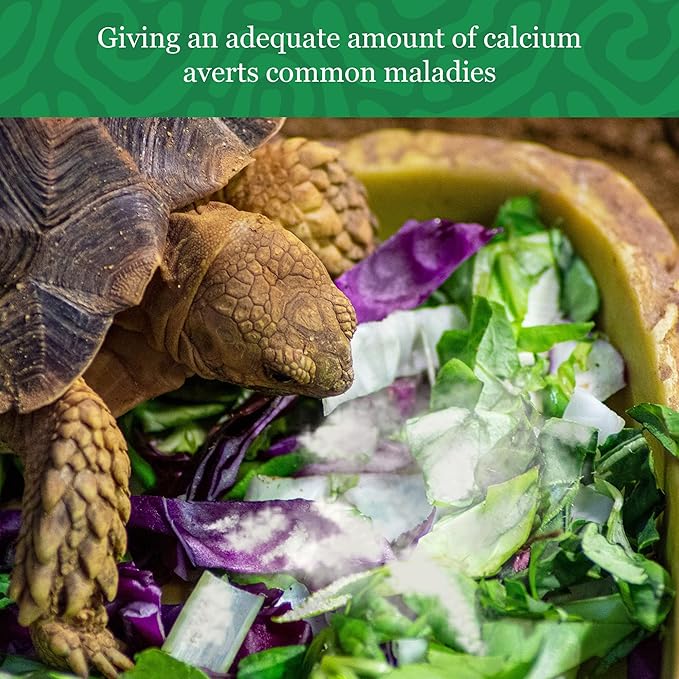 CoCoo Reptile Calcium Powder, Ideal for Leopard Geckos, Chameleons, Iguanas, Turtles, Chicken & Dog, Avoid Vitamin D3 Overdose in Bearded Dragons, Lizards Love It, Energy-rich Additional Feed, 2 oz. Meric