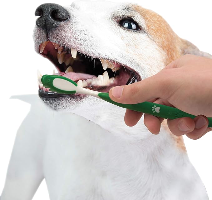 Nylabone Advanced Oral Care Natural Dog Dental Kit Peanut Flavor 2.5 oz. Nylabone