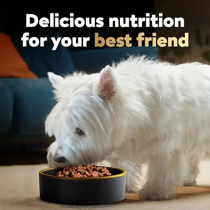 CESAR Small Breed Dry Dog Food Rotisserie Chicken Flavor and Spring Vegetables Garnish, 2.7 lb. Bag - PAWPICO