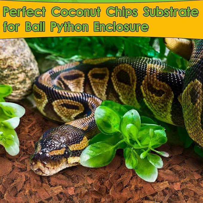 Halatool 6Pack Compressed Coconut Chips Brick Natural Coconut Husk for Reptiles Bedding Coco Coir Chips Terrarium Substrate for Ball Python Frog Snake Gecko Hermit Crab Tortoise HALATOOL
