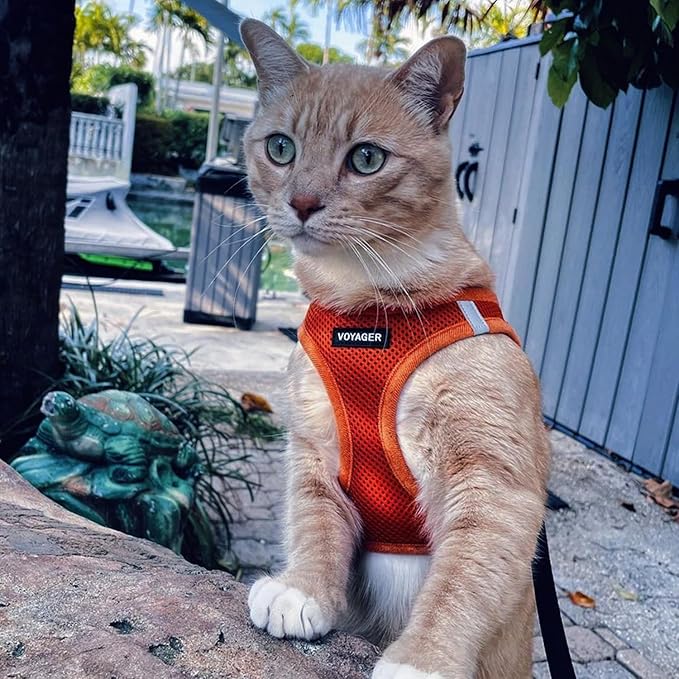 Voyager Step-In Air Dog Harness - All Weather Mesh, Reflective, No Pull Harness for Small, Medium Dogs, Cats - Secure with Hook & Loop Fastener, Buckle, Double D-Rings - Orange, XXS BestPetSuppliesLLC