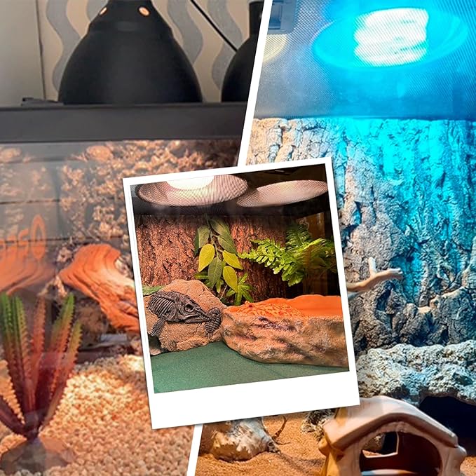Reptile Lamp Bulb Fixture 5.5 Inch Deep Dome with Switch - Ideal for 60W/75W/100W/150W Heat Lamp Bulbs, Compatible with All E26 UVA/UVB/Basking Heat Bulbs, Supports Up to 150 watts BOEESPATDirect