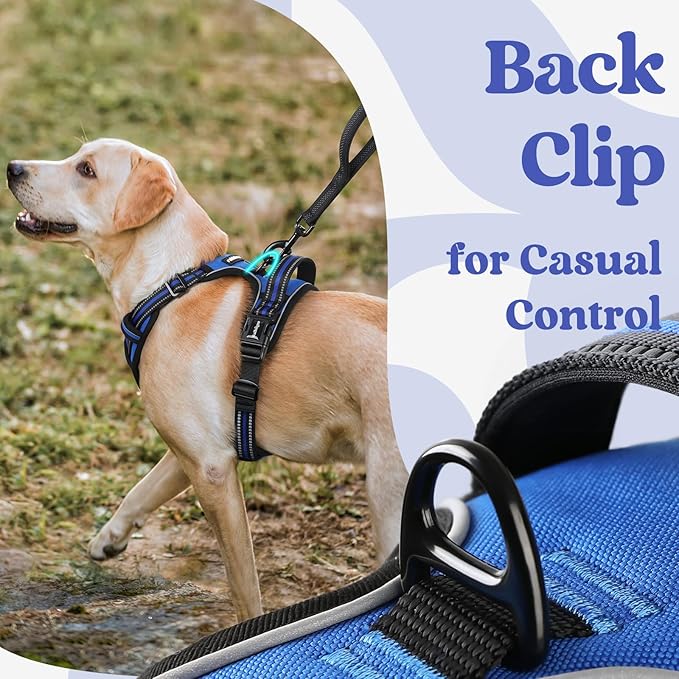 rabbitgoo Dog Harness for Large, No Pull Pet Harness with 3 Buckles, Adjustable Soft Padded Pooch Vest with Instant Control Handle, Easy Walking Reflective Pet Vest for Large Dogs, Blue, L rabbitgoo
