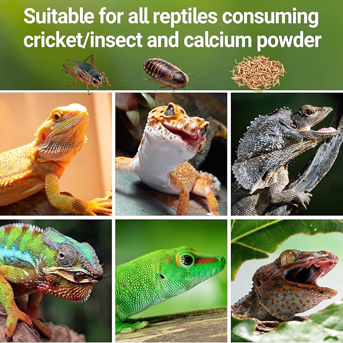 REPTI ZOO Reptile Cricket Powder Mixer, Insect Calcium Mixer, Cricket Nutrients Shaker for Gecko Snake Lizards, Feed Dispenser for Reptile & Amphibians | Terrarium Tank Accessories REPTIZOO