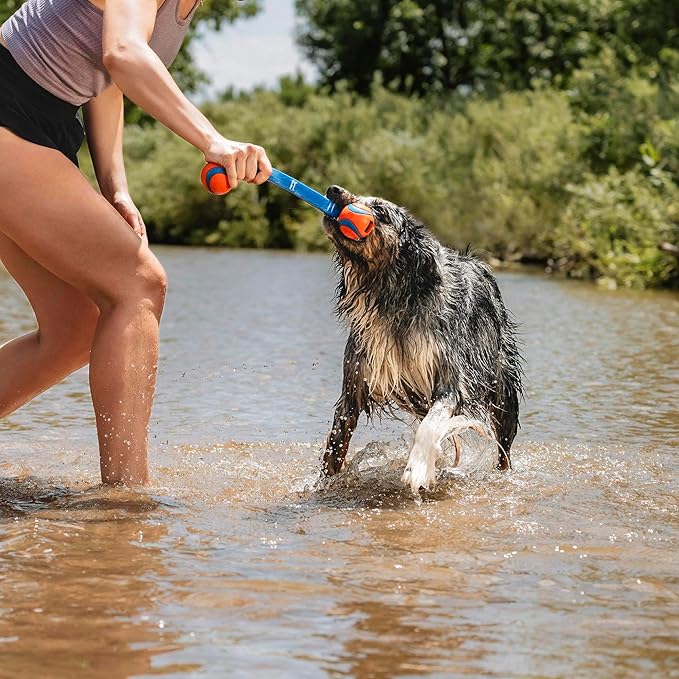 Chuckit! Ultra Duo Tug Dog Toy, Medium Indoor and Outdoor Dog Ball for Dogs 20-60 Pounds - PAWPICO