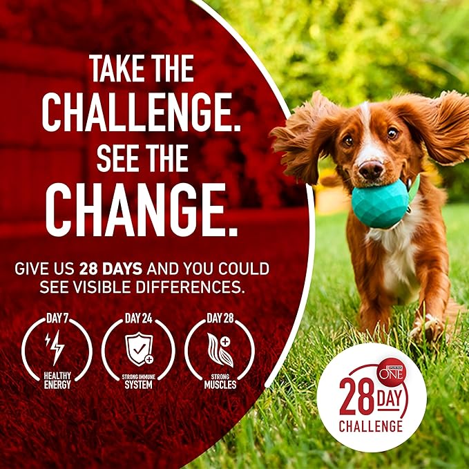 Purina ONE True Instinct With A Blend Of Real Turkey and Venison Dry Dog Food - 15 lb. Bag - PAWPICO