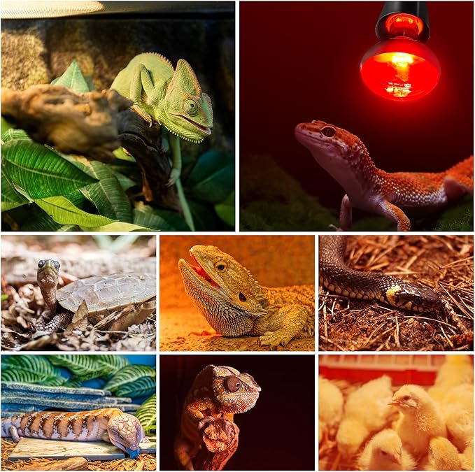 MIXJOY 100W Reptile Heat Lamp Bulb Combo, 2PCS Day & Night Reptile Heat Bulbs, UVA Daylight Intense Heat Basking Bulb Infrared Heat Light Bulb for Reptiles, Lizard, Tortoise, Bearded Dragon Chickens MIXJOY