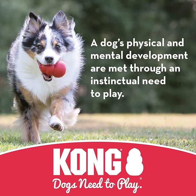 KONG Flyer - Durable Dog Toy for Outdoor Playtime - Natural Rubber Flying Disc, Dog Toy for Fetch - Safer Disc for Healthy Activity - for Small Dogs - PAWPICO