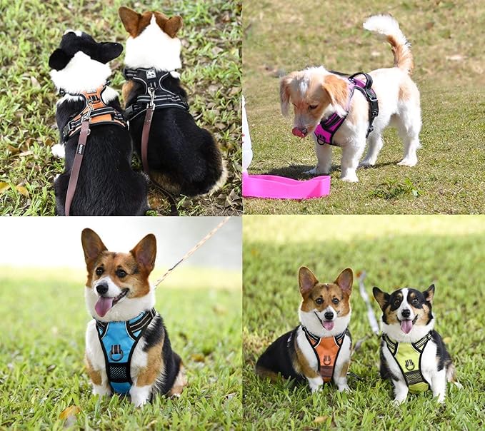 PoyPet No Pull Dog Harness, No Choke Front Clip Dog Reflective Harness, Adjustable Soft Padded Pet Vest with Easy Control Handle for Small to Large Dogs(Orange,S) PoyPet