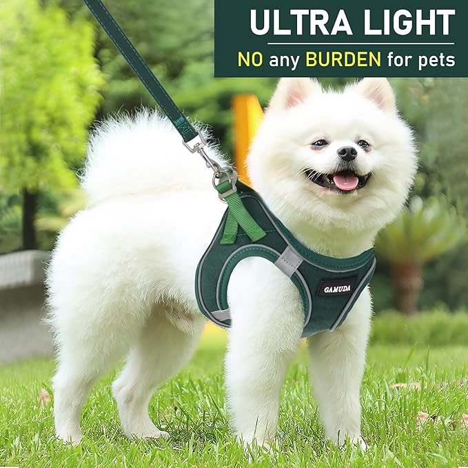 GAMUDA Small Pet Harness Collar and Leash Set, Step in No Chock No Pull Linen Fabric Soft Mesh Dog Vest Harnesses Reflective for Dogs Puppy Cats Kitten Rabbit (Green, XS) GAMUDACollarsCollection