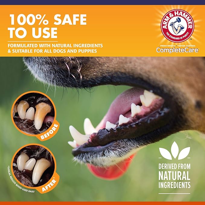 Arm & Hammer Complete Care Enzymatic Dog Toothpaste, 6.2 oz - Dog Toothpaste for Puppies and Adult Dogs, Arm and Hammer Toothpaste for Dogs - Pet Toothpaste, Dog Dental Care and Clean Dog Teeth ARMHAMMER