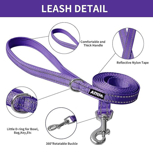 AIITLE Easy Walk Dog Harness and Leash Set - Pet Supply No Pull, Step in Adjustable Dog Harness with Padded Vest for Spring, Dog Harness No Choke Over, Easy to Put on Medium Dogs Pure Purple L AIITLE-FORPETSBETTERLIFE