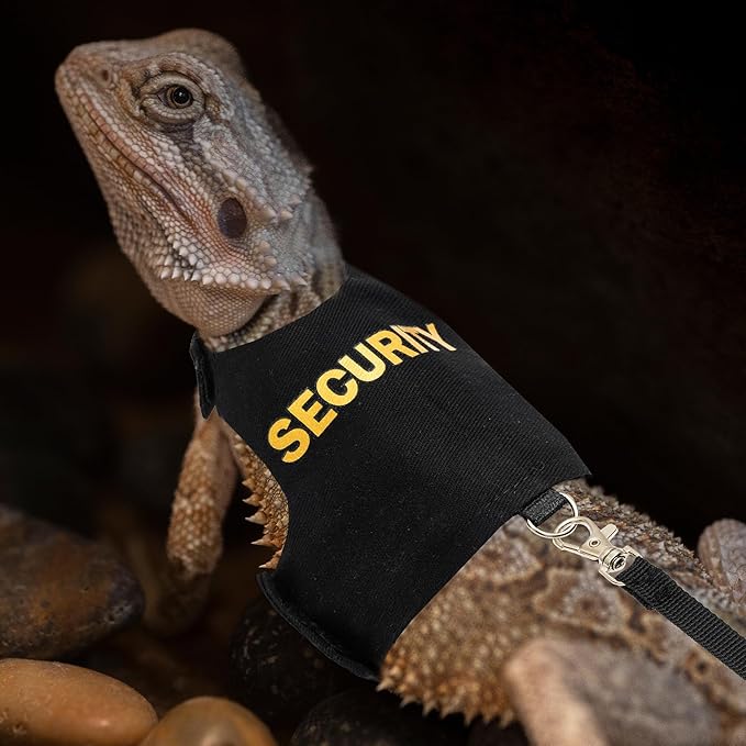 Bearded Dragon Harness and Leash Set - Escape Proof Adjustable Lizard Reptiles Harness with 5 ft Short Leash for Walking Outdoor tukoaw