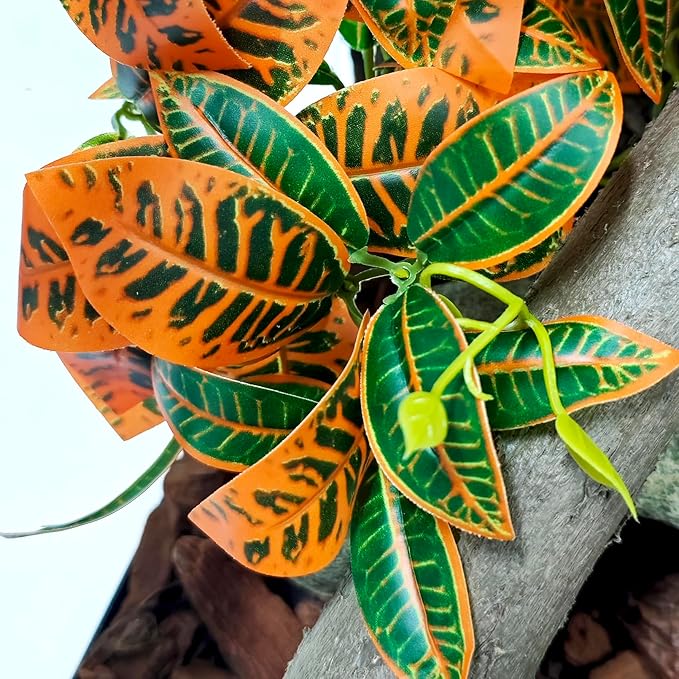 Woyrise 2 Pack Reptile Plants, Terrarium Hanging Plant Vines, Artificial Leaves with Suction Cup, Bearded Dragon Tank Accessories for Gecko Lizard Snake Frog Tortoise Decorations - Codiaeum Variegatum Woyrise