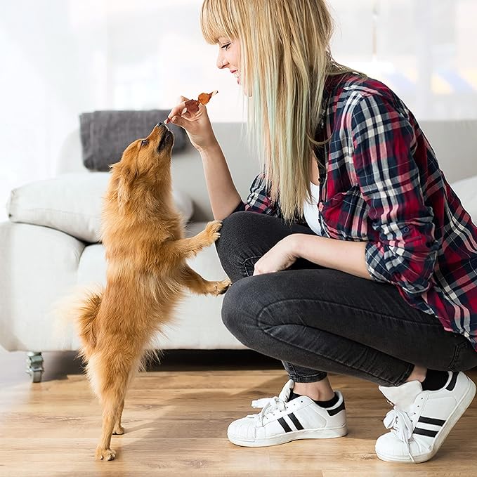 Good'N'Fun Triple Flavored Rawhide Kabobs for Dogs - PAWPICO