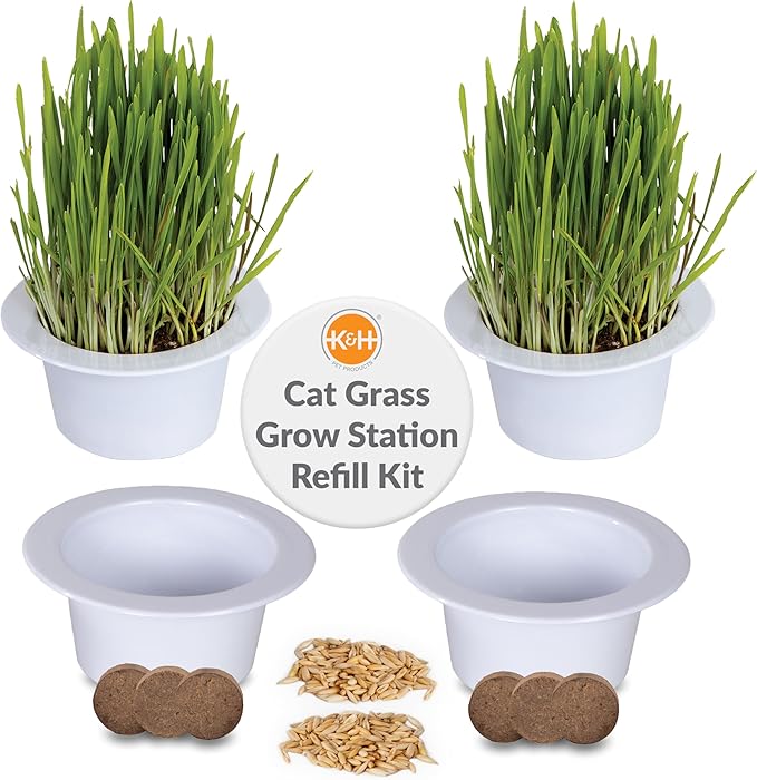 K&H Pet Products Cat Grass Grow Station Growing Cup Refills for K&H EZ Mount Products - Healthy Home Grown Grass Cat Toys for Bored Indoor Adult Cats, Farmed in USA, Non-GMO - Refill ONLY - 2 Pack KHPetProducts
