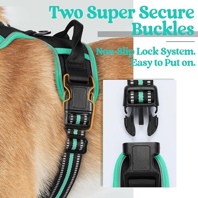 rabbitgoo Dog Harness, No-Pull Pet Harness with 2 Leash Clips, Adjustable Soft Padded Dog Vest, Reflective No-Choke Pet Oxford Vest with Easy Control Handle for Large Dogs, Black & Turquoise, X-Small - PAWPICO