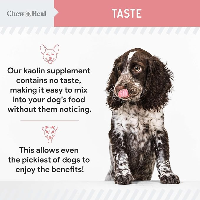 Chew + Heal Labs Anti Diarrhea for Dogs - 12 oz. of Stop The Diarrhea Liquid Supplement with Kaolin - for Diarrhea and Upset Stomach Relief - Made in The USA ChewHeal