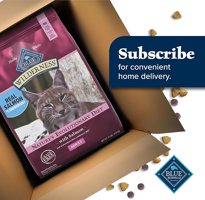 Blue Buffalo Wilderness Natural High Protein Grain Free Salmon Dry Food for Adult Cats 11 lbs. - PAWPICO