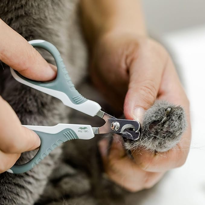 Mr. Pen- Cat Nail Clipper, Cat Nail Trimmers, Cat Claw Clippers, Cat Claw Trimmers, Kitten Nail Clipper, Cat Clippers for Nails, Nail Clippers for Cats, Pet Nail Clippers for Cats, Cat Nail Cutter - PAWPICO
