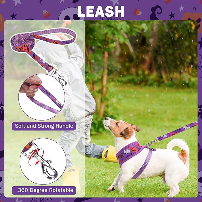 SCENEREAL Small Dog Harness Collar and Leash Set, Adjustable No Pull Pet Harnesses, No Chock Soft Mesh Step in Vest Halloween Costume for Doggie Puppy Dogs Cats Girl Boy Outdoor Walking SCENEREAL
