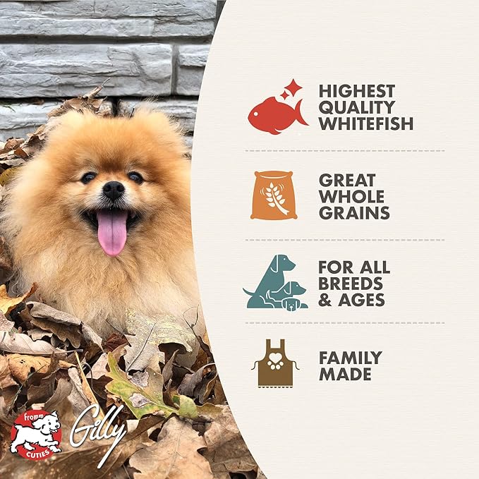 Fromm Four-Star Nutritionals Whitefish & Potato Dog Food - Premium Dry Dog Food - Whitefish Recipe - 26 lb - PAWPICO