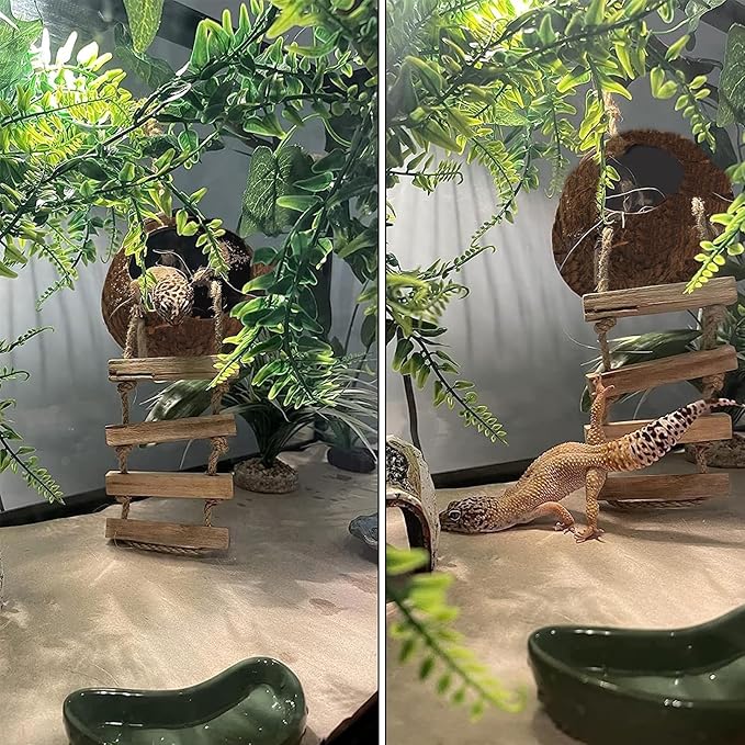 5PCS Coconut Hut for Gecko, Lizard Coco Den with Ladder and Reptile Hammock Bearded Dragon Tank Accessories Climbing Hanging Plants Jungle Vine Flexible Reptile Leaves Decor MUYG