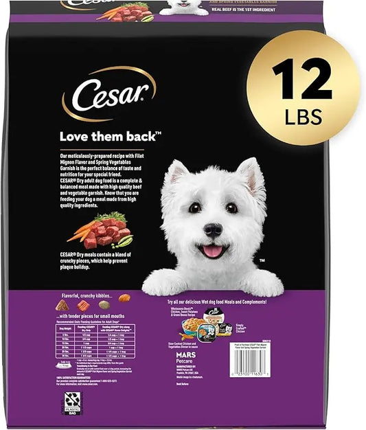 CESAR Small Breed Adult Dry Dog Food Filet Mignon Flavor with Spring Vegetables Garnish Dog Kibble, 12 lb. Bag - PAWPICO