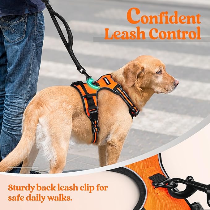 rabbitgoo Dog Harness No Pull with 2 Leash Clips, Adjustable Soft Padded, Reflective Oxford No Choke Pet Vest with Easy Control Handle for Small Dogs,Orange,S rabbitgoo
