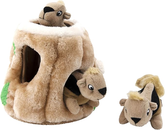 Outward Hound Hide A Squirrel Plush Dog Toy Puzzle, Medium - PAWPICO