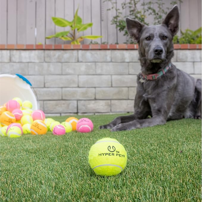 Hyper Pet Tennis Balls for Dogs (Pet Safe Dog Ball Dog Tennis Balls for Exercise & Training) Dog Ball Interactive Dog Toys work with Hyper Pet K9 Kannon K2 Dog Ball Launcher - 4 Pack 2.5" Green - PAWPICO